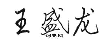 駱恆光王盛龍行書個性簽名怎么寫