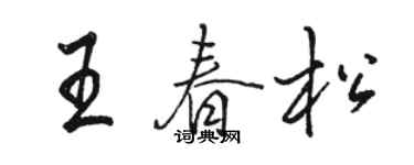 駱恆光王春松行書個性簽名怎么寫