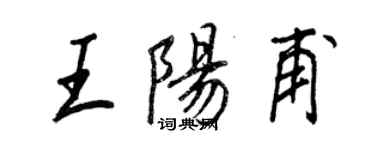 王正良王陽甫行書個性簽名怎么寫