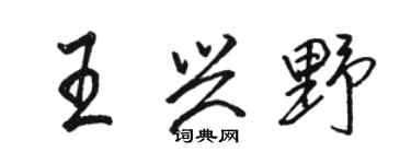 駱恆光王興野行書個性簽名怎么寫