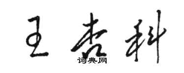 駱恆光王杏科草書個性簽名怎么寫