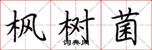 荊霄鵬楓樹菌楷書怎么寫
