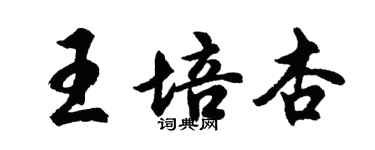胡問遂王培杏行書個性簽名怎么寫