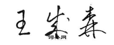 駱恆光王成森草書個性簽名怎么寫