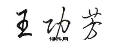 駱恆光王功芳行書個性簽名怎么寫