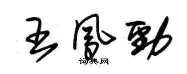 朱錫榮王鳳勁草書個性簽名怎么寫