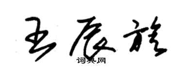 朱錫榮王辰旋草書個性簽名怎么寫