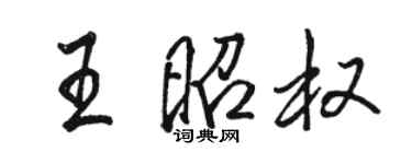駱恆光王昭權行書個性簽名怎么寫