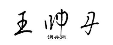 梁錦英王帥丹草書個性簽名怎么寫