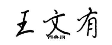 王正良王文有行書個性簽名怎么寫