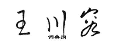 駱恆光王川容草書個性簽名怎么寫
