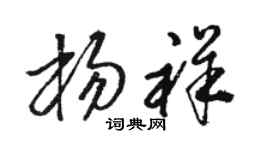 駱恆光楊祥草書個性簽名怎么寫