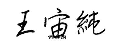 王正良王宙純行書個性簽名怎么寫