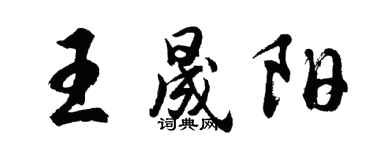 胡問遂王晟陽行書個性簽名怎么寫