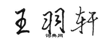 駱恆光王羽軒行書個性簽名怎么寫