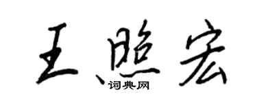 王正良王照宏行書個性簽名怎么寫