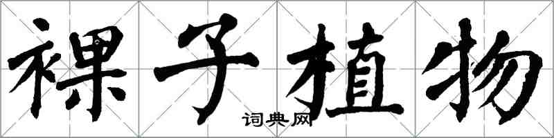 翁闓運裸子植物楷書怎么寫