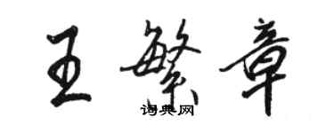 駱恆光王繁章行書個性簽名怎么寫