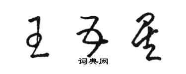 駱恆光王五星草書個性簽名怎么寫