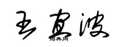 朱錫榮王宜波草書個性簽名怎么寫