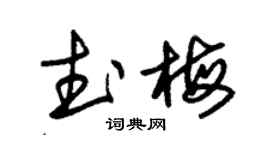 朱錫榮武梅草書個性簽名怎么寫