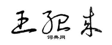 曾慶福王紀來草書個性簽名怎么寫