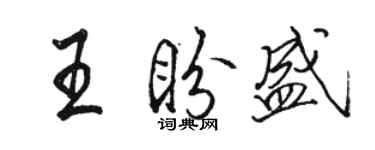 駱恆光王盼盛行書個性簽名怎么寫