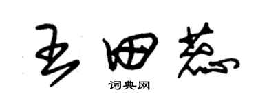 朱錫榮王田蕊草書個性簽名怎么寫