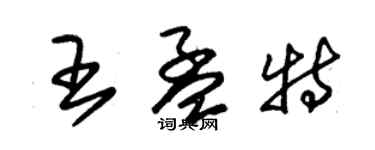 朱錫榮王孟特草書個性簽名怎么寫