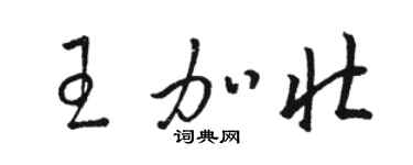 駱恆光王加壯草書個性簽名怎么寫