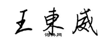 王正良王東威行書個性簽名怎么寫