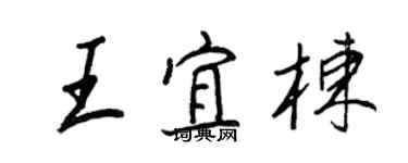 王正良王宜棟行書個性簽名怎么寫