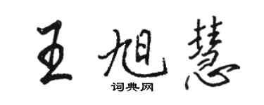 駱恆光王旭慧行書個性簽名怎么寫