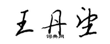 王正良王丹望行書個性簽名怎么寫