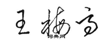駱恆光王梅高草書個性簽名怎么寫
