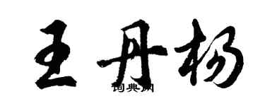 胡問遂王丹楊行書個性簽名怎么寫