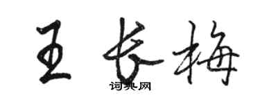 駱恆光王長梅行書個性簽名怎么寫