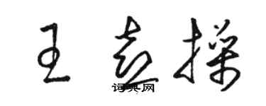 駱恆光王喜操草書個性簽名怎么寫