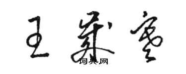 駱恆光王歲寒草書個性簽名怎么寫