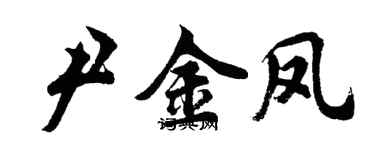 胡問遂尹金鳳行書個性簽名怎么寫