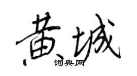 王正良黃城行書個性簽名怎么寫