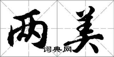 胡問遂兩美行書怎么寫