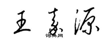 梁錦英王嘉源草書個性簽名怎么寫