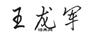 駱恆光王龍軍行書個性簽名怎么寫