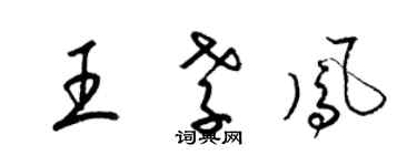 梁錦英王孝鳳草書個性簽名怎么寫