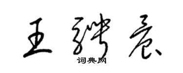 梁錦英王騁晨草書個性簽名怎么寫