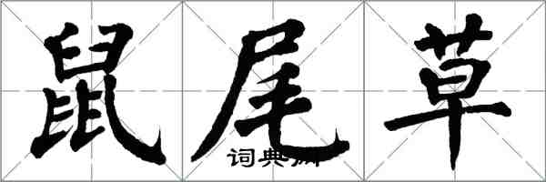 翁闓運鼠尾草楷書怎么寫