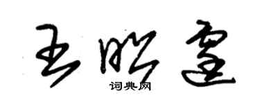 朱錫榮王昭霆草書個性簽名怎么寫