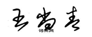 朱錫榮王尚青草書個性簽名怎么寫