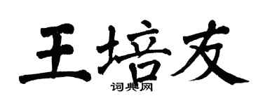 翁闓運王培友楷書個性簽名怎么寫